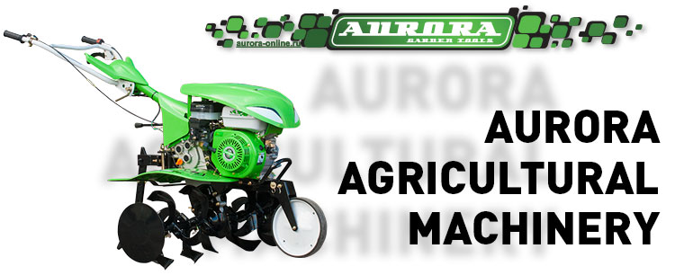 ������������ ������